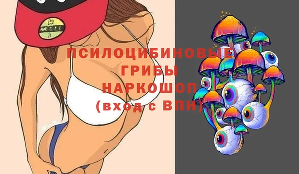 дурь Бронницы